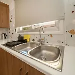 Near Center 1 Bedroom Flat Daire