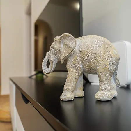 Near Center 1 Bedroom Flat 니코시아